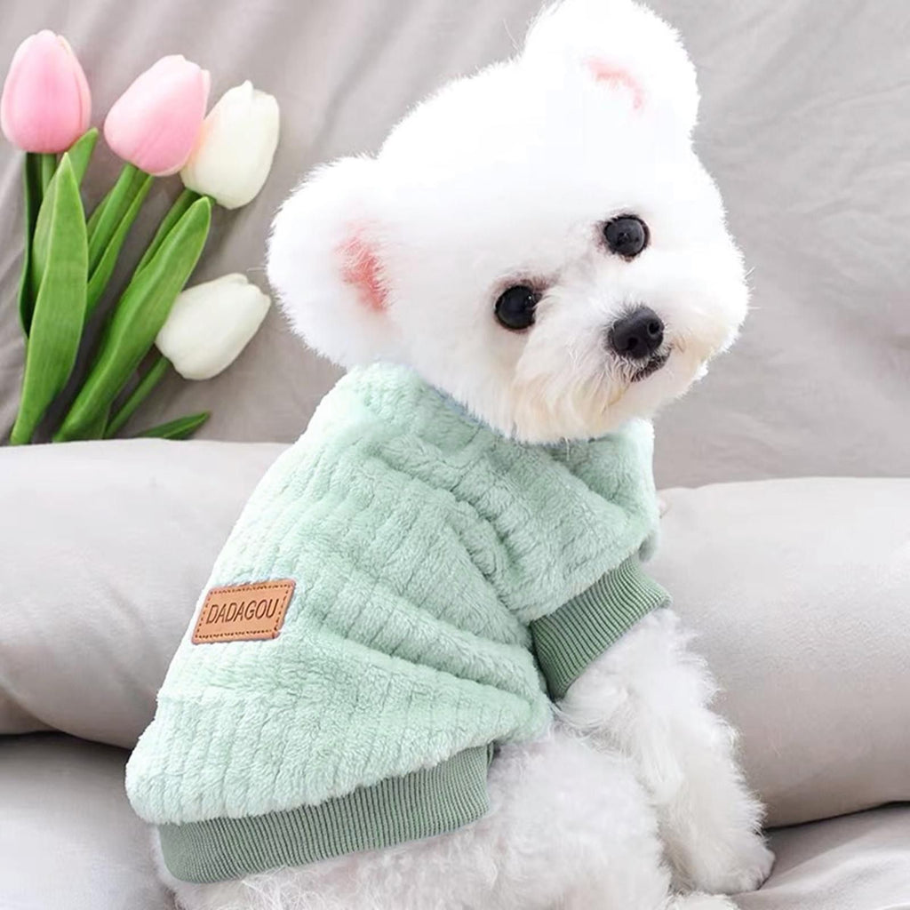 539430041